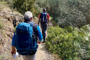 Private 3-Hour Hiking in Mount Ymittos
