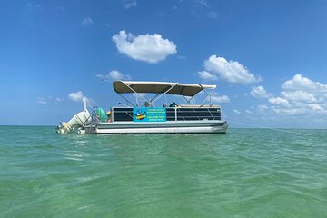 4 Hour Dolphin and Sandbar Cruise