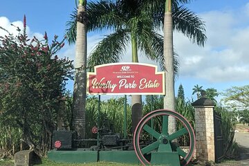 Worthy Park Estate Rum Tour from Ocho Rios