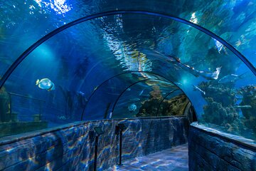 Leisure Pass in Malta 