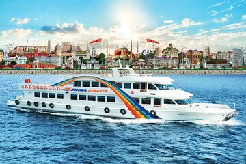 Istanbul Bosphorus Sightseeing Cruise 