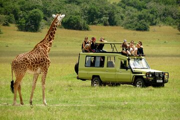 12 Days Tanzania and Kenya Migration Safari