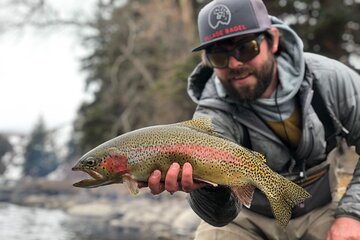 Half Day Walk and Wade Fly Fishing Trip