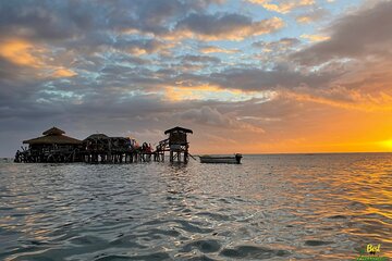 YS Falls & Pelican Bar Private Tour From Montego Bay