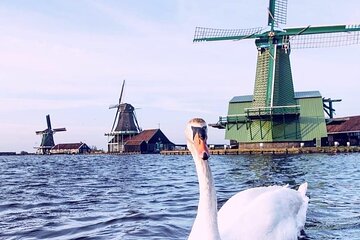 Dutch Countryside, Windmills & Fishing Villages