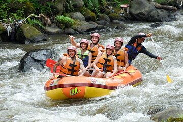 Bali Private White Water Rafting Adventure