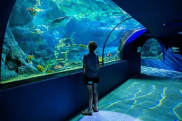 Mauritius Odysseo Oceanarium in Port Louis 