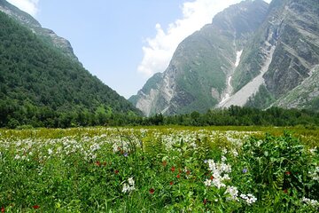 Valley of Flowers - UNESCO World Heritage Site, Uttarakhand