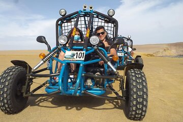 Excursion in Minibuggys in Paracas National Reserve