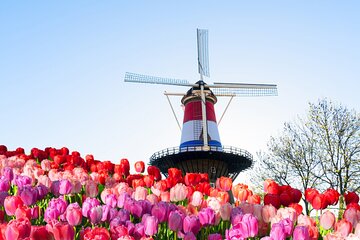 Private Tour to Delft and Leiden from Amsterdam