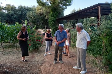 Ostuni DOC wine tour and wine tasting 2 hours