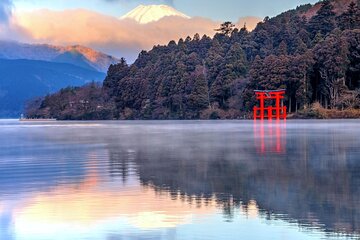 Mt. Fuji and Hakone Private Tour with English Speaking Guide