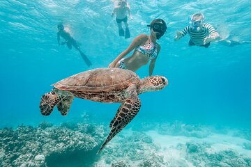 Turtle Canyon Snorkel Catamaran Excursion from Waikiki, Oahu