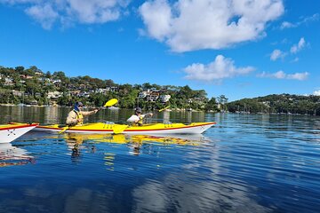 1 Hour Rental in a Deluxe Double Sea Kayak