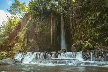  Private Tour to Sumampan Waterfall, Monkey forest, Rice terraces and Swing