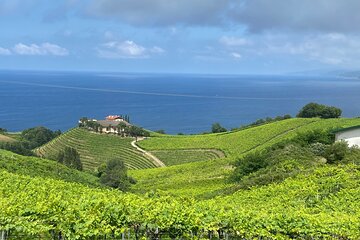 Private Tour of the Guipuzcoan Coast with Txakoli Tasting