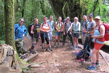 7 Day Private Kilimanjaro Climbing via Machame Route