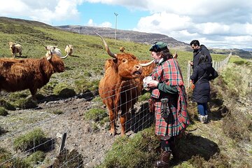 Full-Day Private Guided Shennachies Road to Isles and Skye Tour