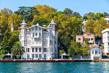 Istanbul Highlights Bosphorus Stops 1 +2 (Europe + Asia)