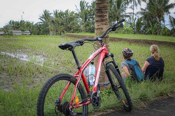 Cycling Adventure in Bali