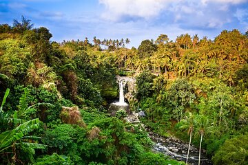 Full-Day Highlights and Best of Ubud Village 