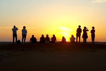 Wahiba Sands Tour