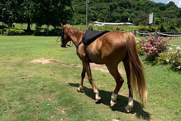 Horseback Ride, ATV and Catamaran Party Cruise from Montego Bay 