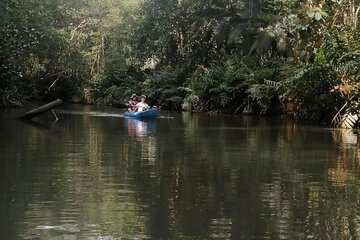 2-Hour Kayak Tour in Quepos