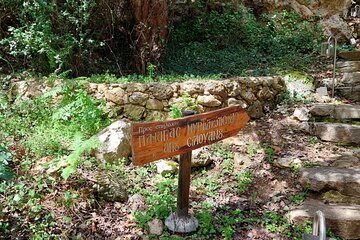 Half-Day Private Walking Tour along the Orthodox Gorge