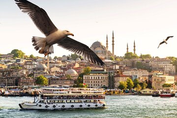 Istanbul: Bosphorus Morning or Sunset Cruise & Asian Side Stop