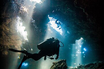 2 Tank Lanai Cathedral Scuba Dive (Boat) for Certified Divers