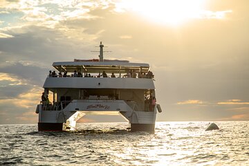 Luxury Sunset Dinner Cruise in Cabo