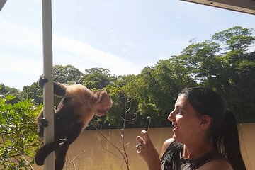 Palo verde river cruise, sugarcane liquor and cultural combo tour.