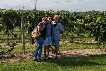 Niagara County Wine Tour and Tasting