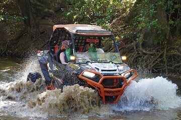 Beach-mountain & Sloth Refuge Buggy Tour