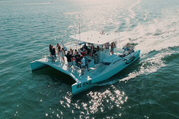 San Diego Harbor Cruise | Splash through San Diego Bay! 