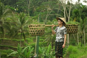 Private Tour : Best of Ubud and Tanah Lot Temple with All inclusive