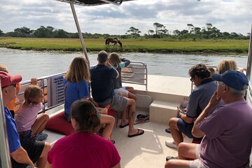 OC Bay Hopper - Assateague Island Cruise (Departs 118th)