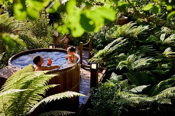 [Stevong Travel] Rotorua Private tour with Hotspring