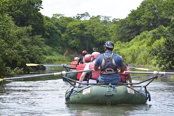 Private Sloth Encounter Waterfall And Corobici Floating Tour