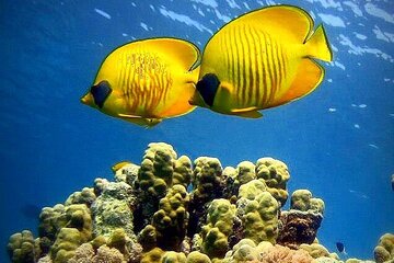 Blue Lagoon, Starfish Adventure, The Rock Restaurant, Spice Tour, Secret Garden