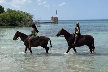 Montego Bay River Rafting & Horseback Ride 'n' Swim Private Tour 