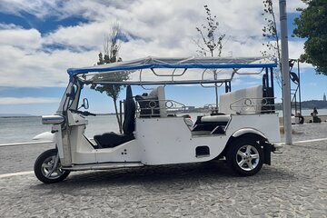 Eco Tuk Tour up to 6 people 
