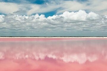 Tour to the pink lagoons & Río Lagartos from Merida