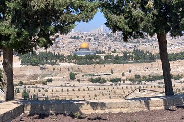 In The Footsteps of Jesus Day Tour - Dguide Self Guiding App
