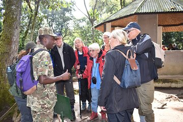3 Days Set Departure Bwindi Gorilla Trekking (Fly-in)