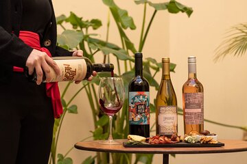 Wine Tasting Boutique in Buenos Aires