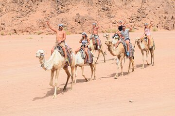 Camel Ride, Bedouin Dinner & Stargazing in 4X4 Jeep Safari in Hurghada