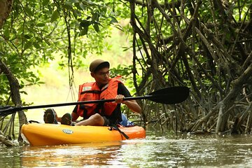 Lebam River Kayaking Adventure