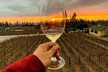 Alyan Sunset! A family winery that you will love